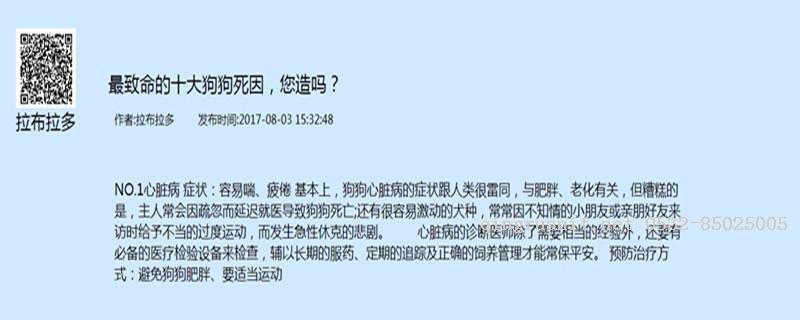 寵物論壇詳情_副本.jpg